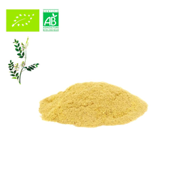 Regaliz de palo en polvo Frisafran 1kg